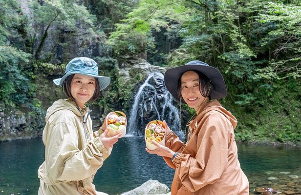 Private Tour of Akame 48 Waterfalls with Bento Making