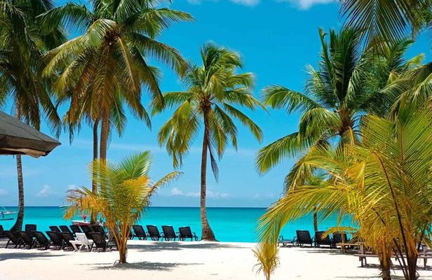 Perfect Day at Saona Island by Speedboat - Completely Private
