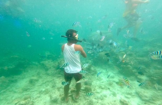 Shared El Nido Island Hopping Tour with lunch