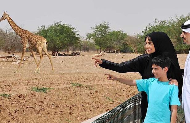 Private Garden City Tour with Zoo Ticket at Al Ain