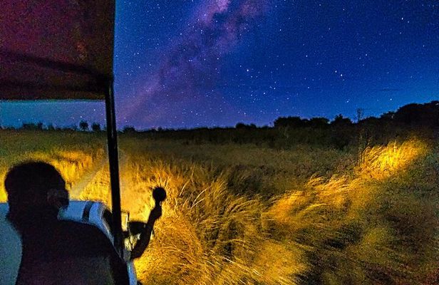 2 Hour Stargazing Tour in Victoria Falls NP Area in 4x4