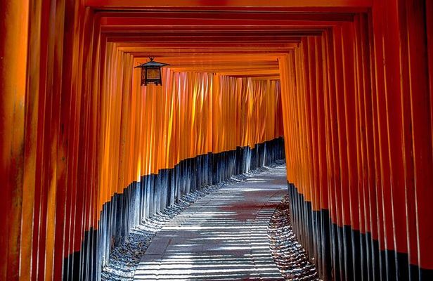 Kyoto Private Cultural Historical Tour with Local Japanese Guide