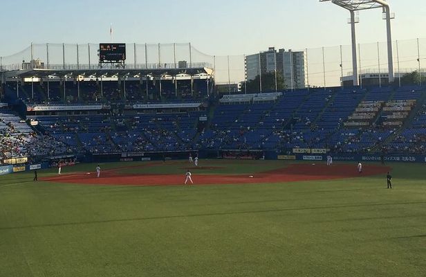Catch a Baseball Game in Tokyo with a Local - Tickets Included