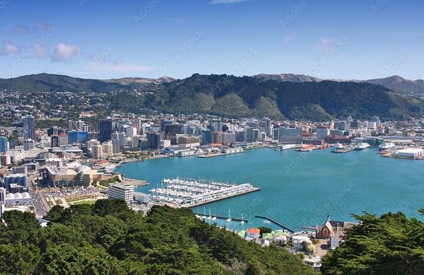 Guided Small Group Walking Tour in Wellington