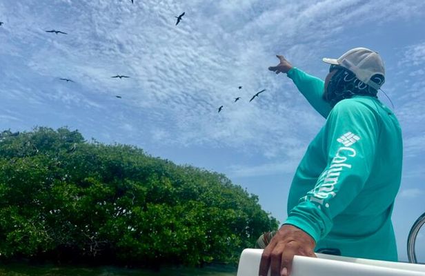 Half Day Reef Snorkel and Wildlife Tour