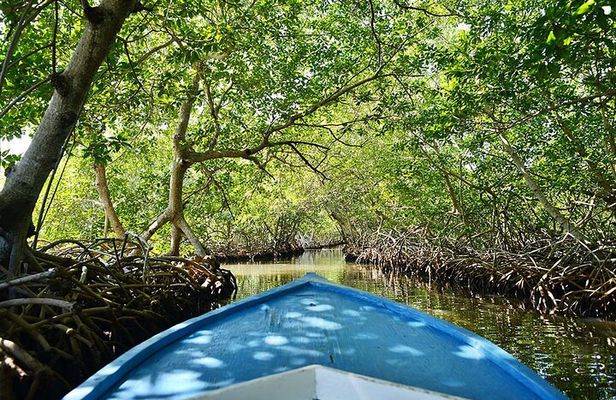 Half Day Private Roatan Cultural East Tour