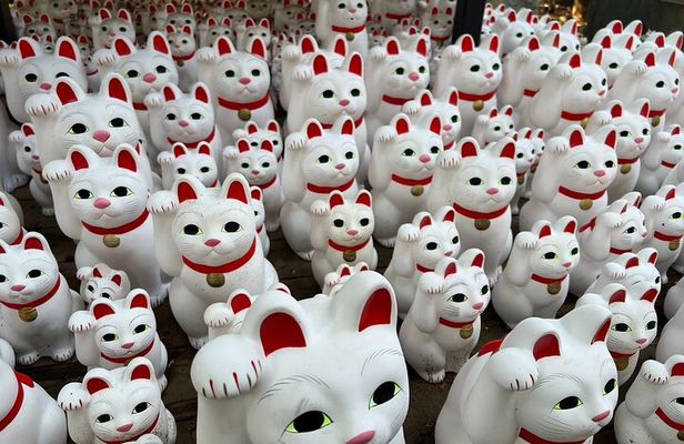 Tokyo: An Unique temple Walking Tour for cat lovers
