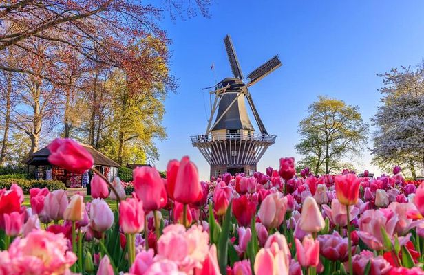 Keukenhof and Zaanse Schans Windmills Day Trip from Amsterdam