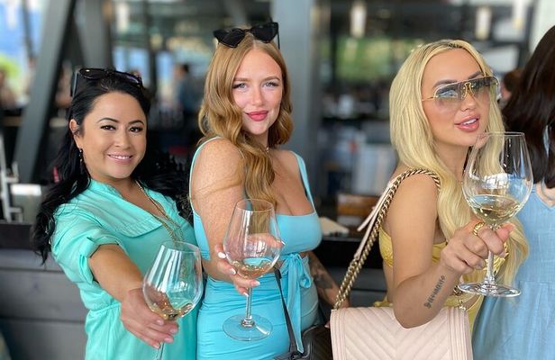 Sparkling Hill Full Day Guided Wine Tour with 5 Wineries