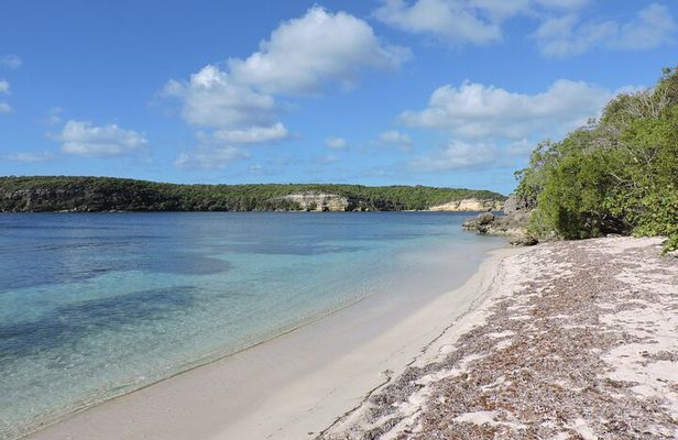 Isla de Vieques Beach Hopper Sightseeing Tour