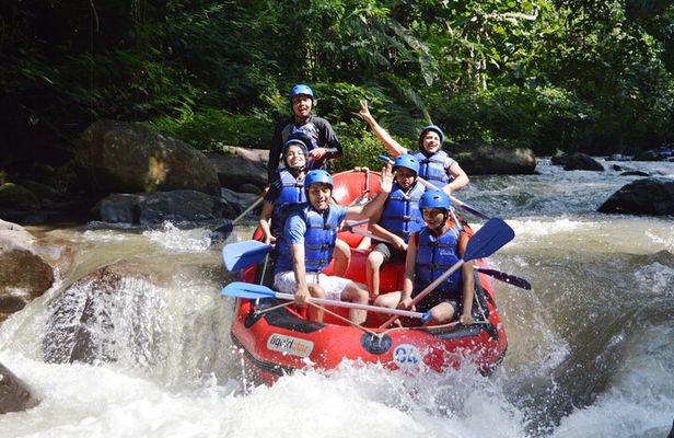 Bali Ayung River Rafting and Tanah Lot Temple Sunset Private Tour