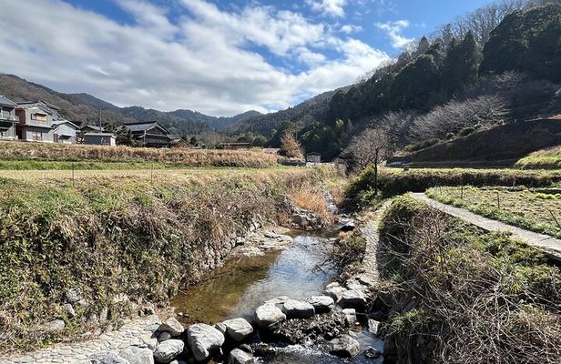 Ancient Nara Walking and Cycling Tour in Asuka