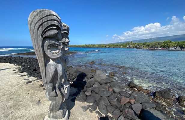 Private Kona Cruise Ship Excursion Kona up to 14 People