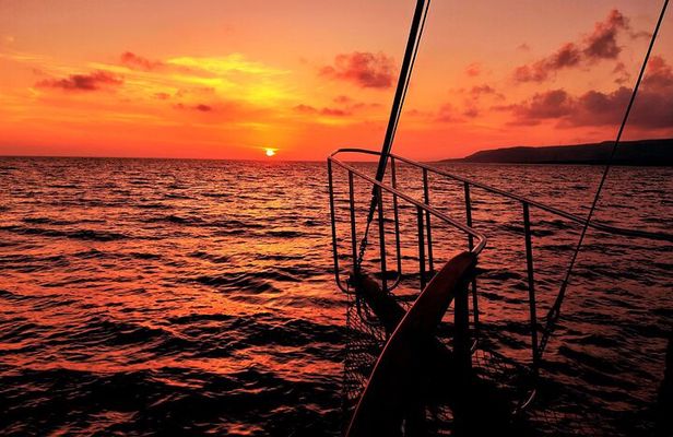Queen Bee Sunset Cruise with Swim Stops and Dinner