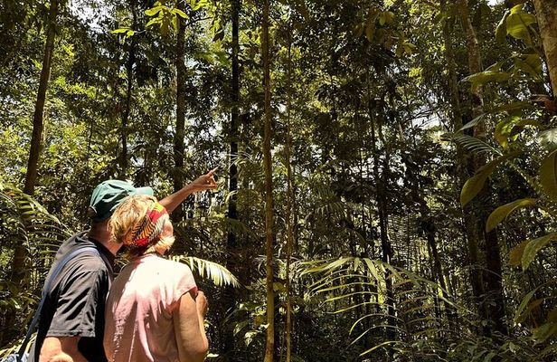 2 Full Days Exploring The Ecuadorian Amazon | Tour Start In Quito