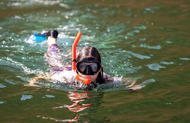 Sea Wonders Dolphin Watching and Snorkeling in Muscat