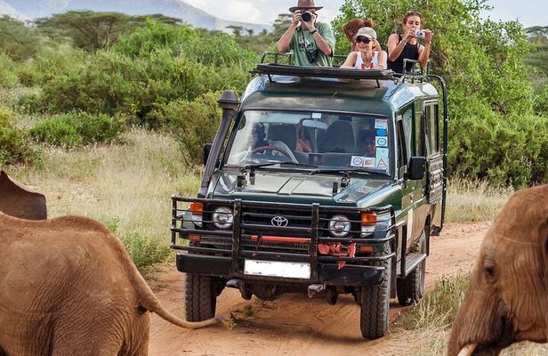 5 Days Mombasa,Tsavo East, Taita Salt Lick, Tsavo West, Amboseli,