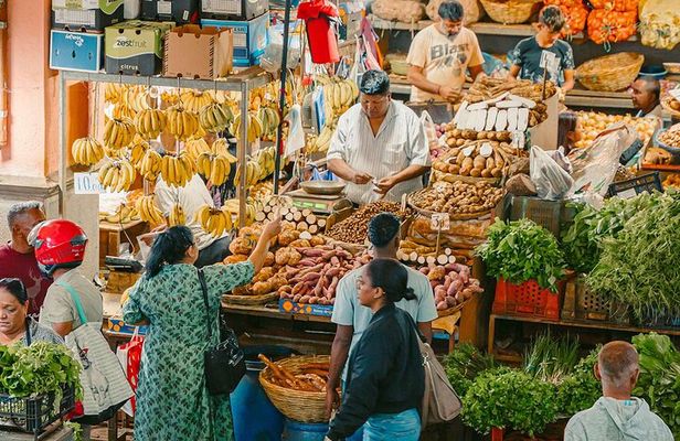Mauritius Private North Tour: Port Louis, Garden & Grand Baie