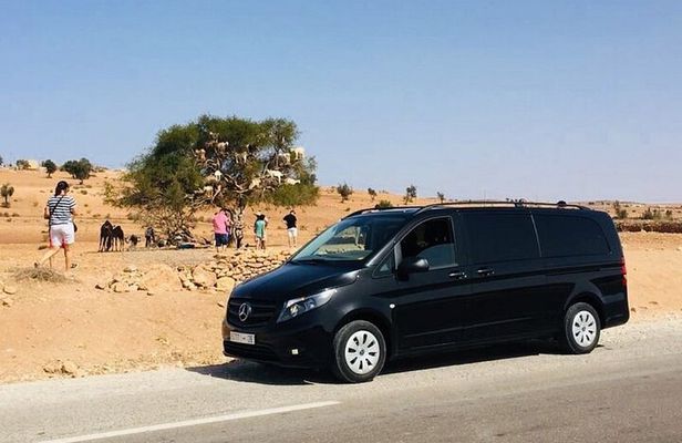 A drive outside Essaouira and a visit to the argan trees