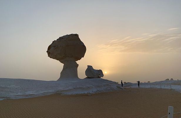 Bahariya Oasis Journey into Tranquility Exploring Safari Desert