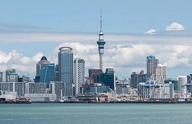 4 Hours Private Tour in Auckland