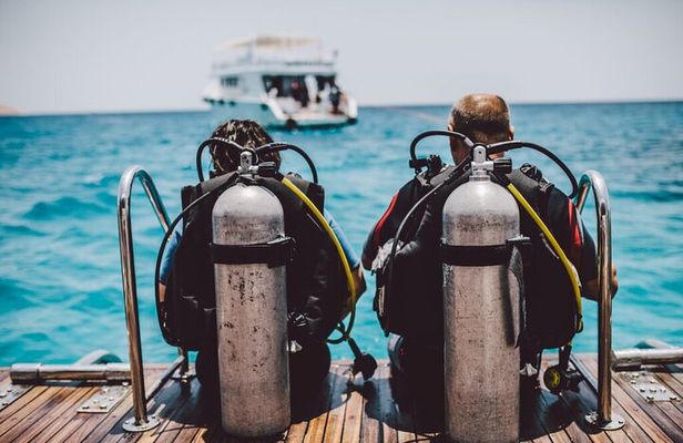 Shore Dives in Sharm El Sheikh Red Sea