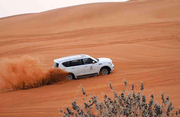 Unforgettable Standard Desert Safari Experience with ICL Lama