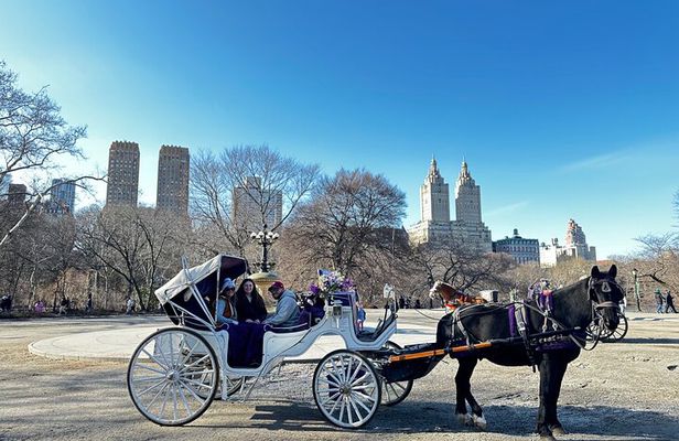 Luxury Horse and Carriage Tours in Central Park