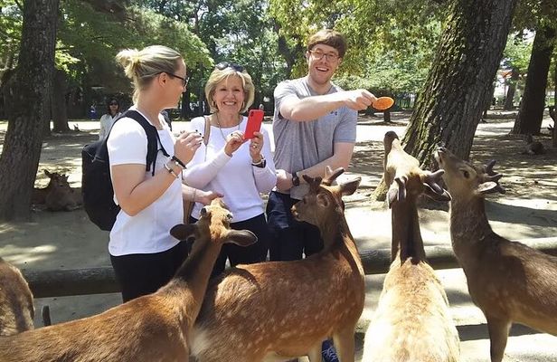 Nara Highlight Private Walking Tour with Licensed Guide