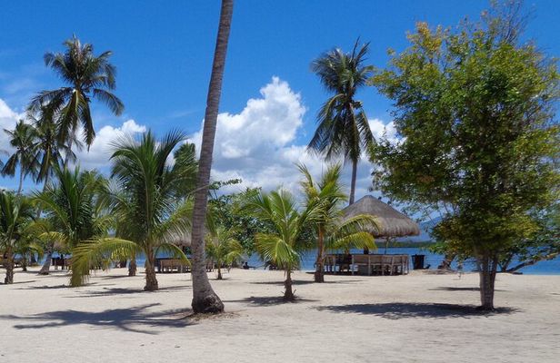 Luli island, cowrie isla, pambato reef Puerto princesa excursion