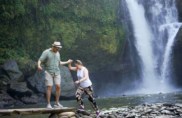 Ubud Private Customized Tour