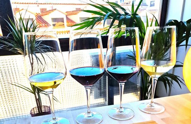 Tasting of 4 Spanish wines in Puerta del Sol Madrid