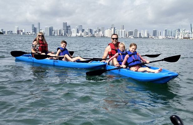 Manatee Season Guided Paddle Tour from Virginia Key