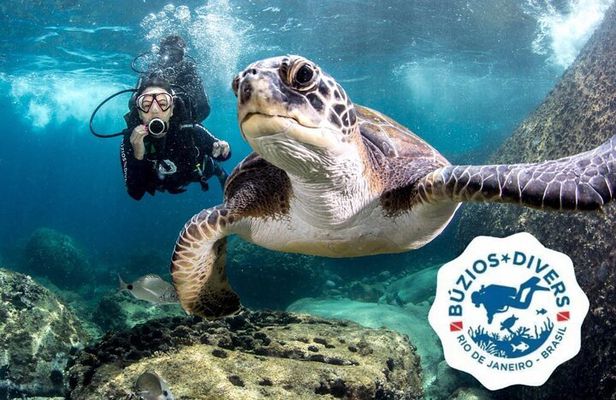 Diving for Beginners and Accredited - Búzios RJ