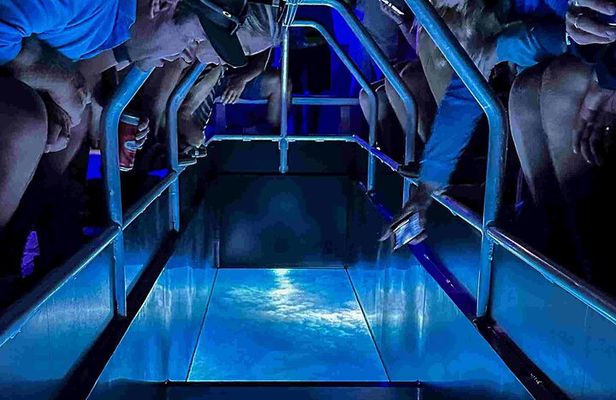 Airlie Beach Glass Bottom Boat Guided Night Tour