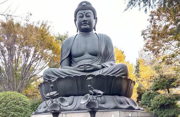 Walking tour, Tokyo Great Buddha, Botanical Garden, etc.