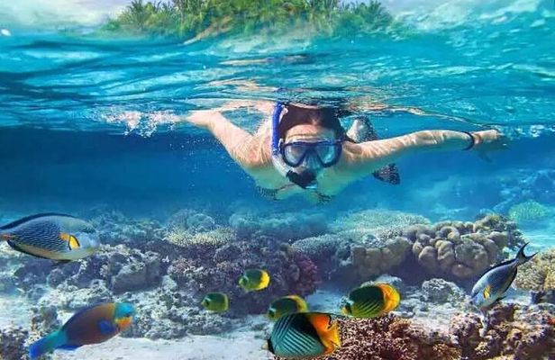 Nusa Penida West trip with snorkeling at 3 spot with Free Meals