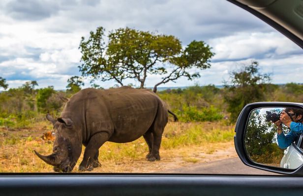 3-Day Private Camping Safari in Serengeti and Ngorongoro Crater