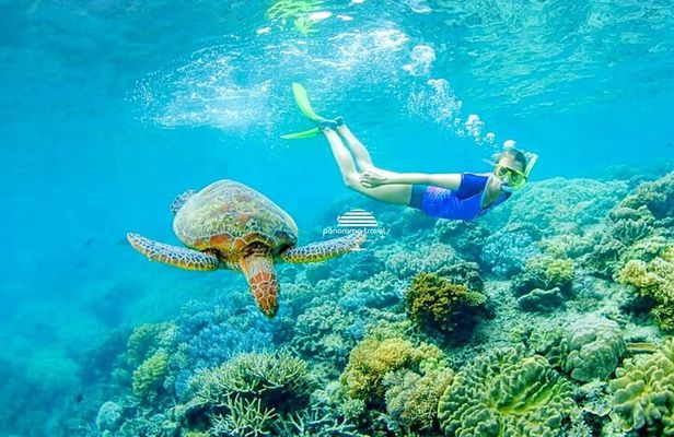 Snorkeling Trip to Daymaniyat Islands from AlMouj Marina