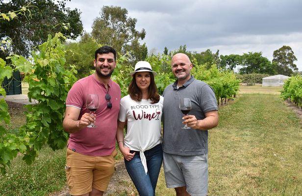Private one-day visit to 2 Wineries in Carmelo