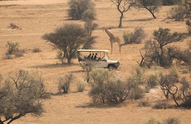 Game drive in Victoria Falls National Park
