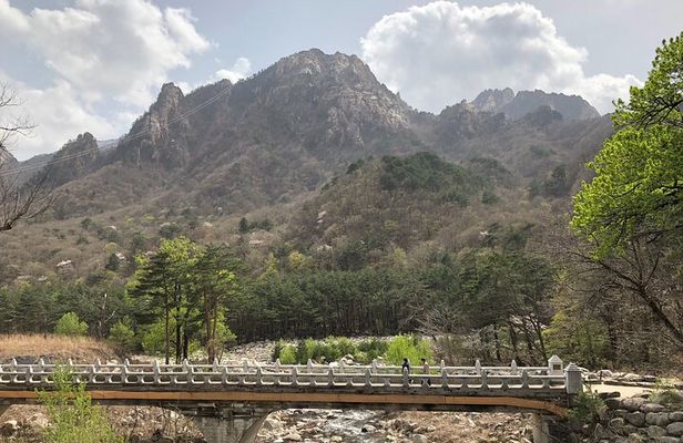 Full-Day Tour in Mt. Seorak & Nami (+Rail Bike Option)