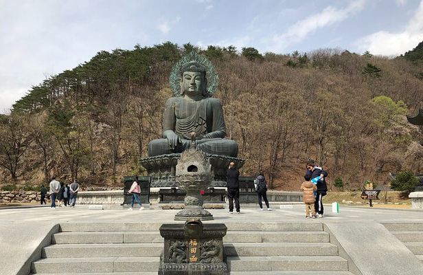 Full-Day Tour in Mt. Seorak & Nami (+Rail Bike Option)