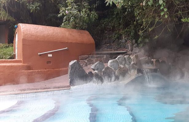 Full-Day Private Tour Papallacta Hot Springs and Roses Farm