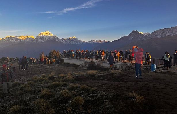 Ghorepani Poonhill Private Trek - 2 nights / 3 days