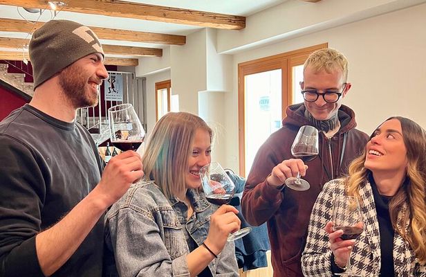 Local wines and traditional balsamic experience