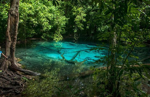  Tiger Cave and Emerald Pool Jungle Tour from Krabi