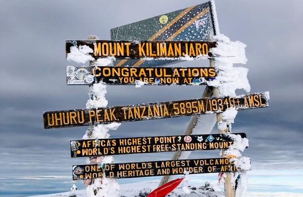 Kilimanjaro 8 days Lemosho Route