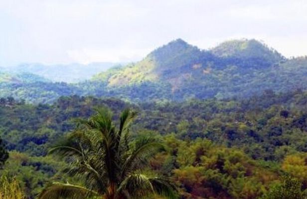 Bob Marley Nine Mile Home Private Tour from Montego Bay
