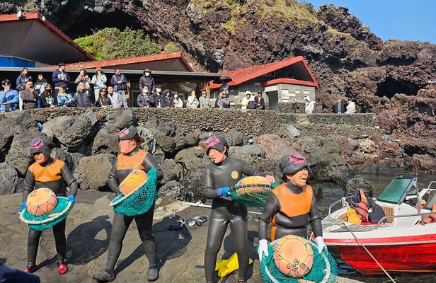 East of jeju tour for Seogwipo Gangjeong Cruise Customers